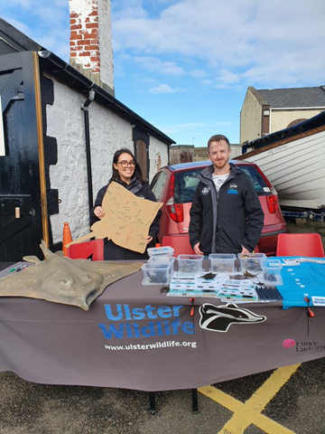 Sea Deep Volunteers Traci and Pete at our Portballintrae Flapper Skate Roadshow, ready to talk to everyone about sharks and skates!